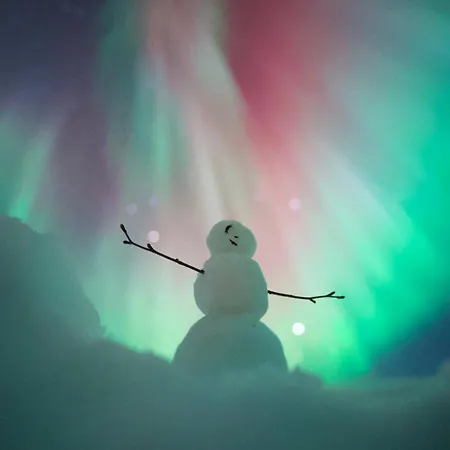 Arctic Star By Booklapland *