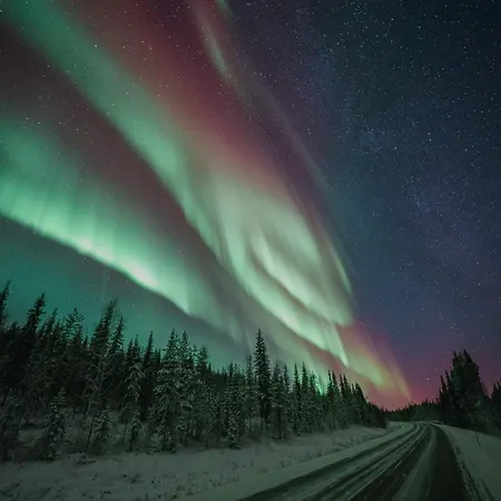 Arctic Star By Booklapland *